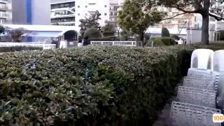 天龙影院-最新高清电影-热门短剧短视频-好看的电视剧免费在线观看